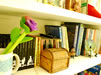 Biblioteca